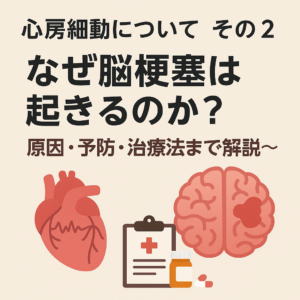 心房細動患者においてなぜ脳梗塞は起きるのか？～原因・予防・治療法まで解説～