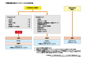 心房細動抗凝固療法ガイドライン