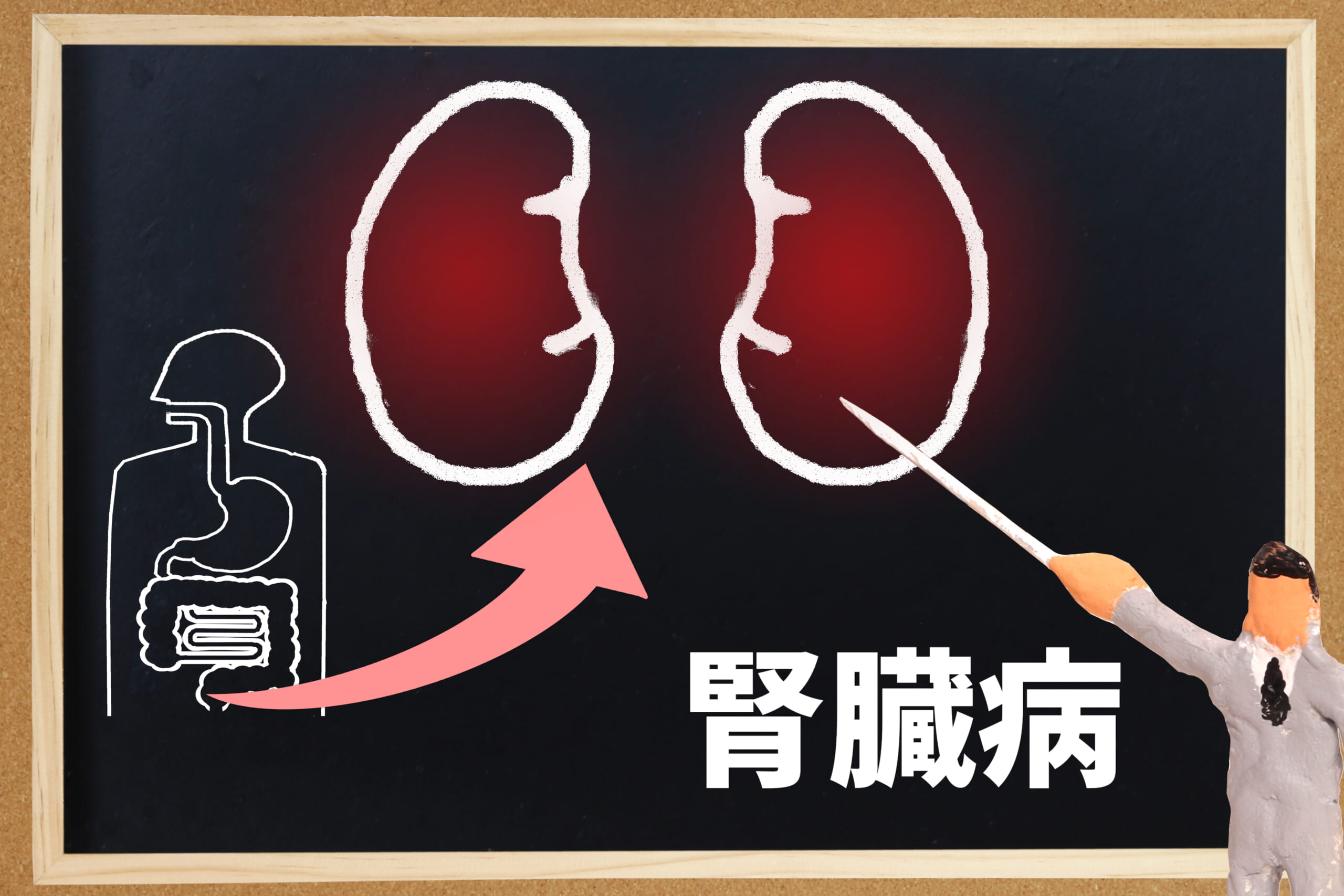 慢性腎臓病（CKD）について