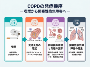 COPDでは喫煙などにより気管支の炎症や肺胞の破壊が起こり、息切れや咳・痰につながることがあります。