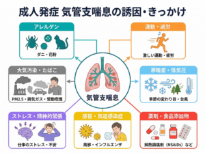 成人発症の喘息は風邪、タバコの煙、空気の乾燥、花粉、ハウスダストなどをきっかけに症状が出ることがあります。